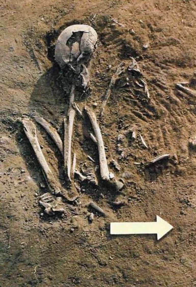 İskeletlerin Genetik Analizi