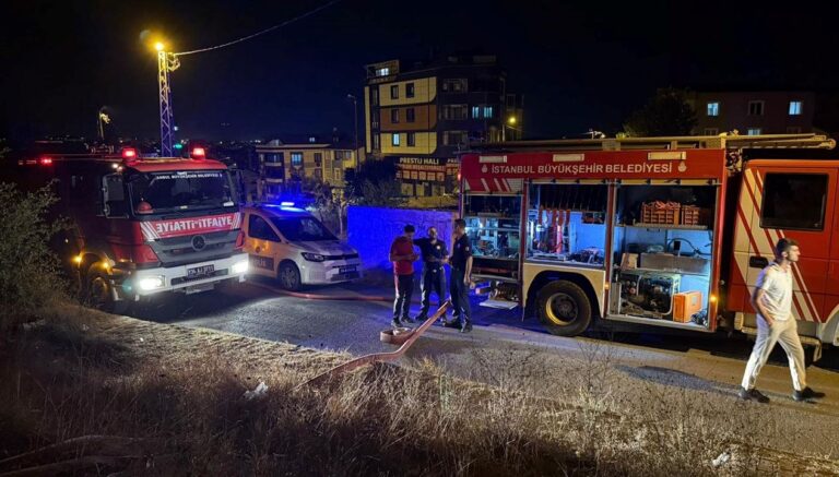 istanbulda-orman-yangini-alevler-3-bin-metrekareye-yayildi-dfuOnNkA.jpg