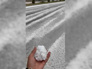Bursa’da Emekli Polis Memurunun Parçalanmış Cesedi Çöplerde Bulundu: Eşine Ağırlaştırılmış Müebbet İstemi